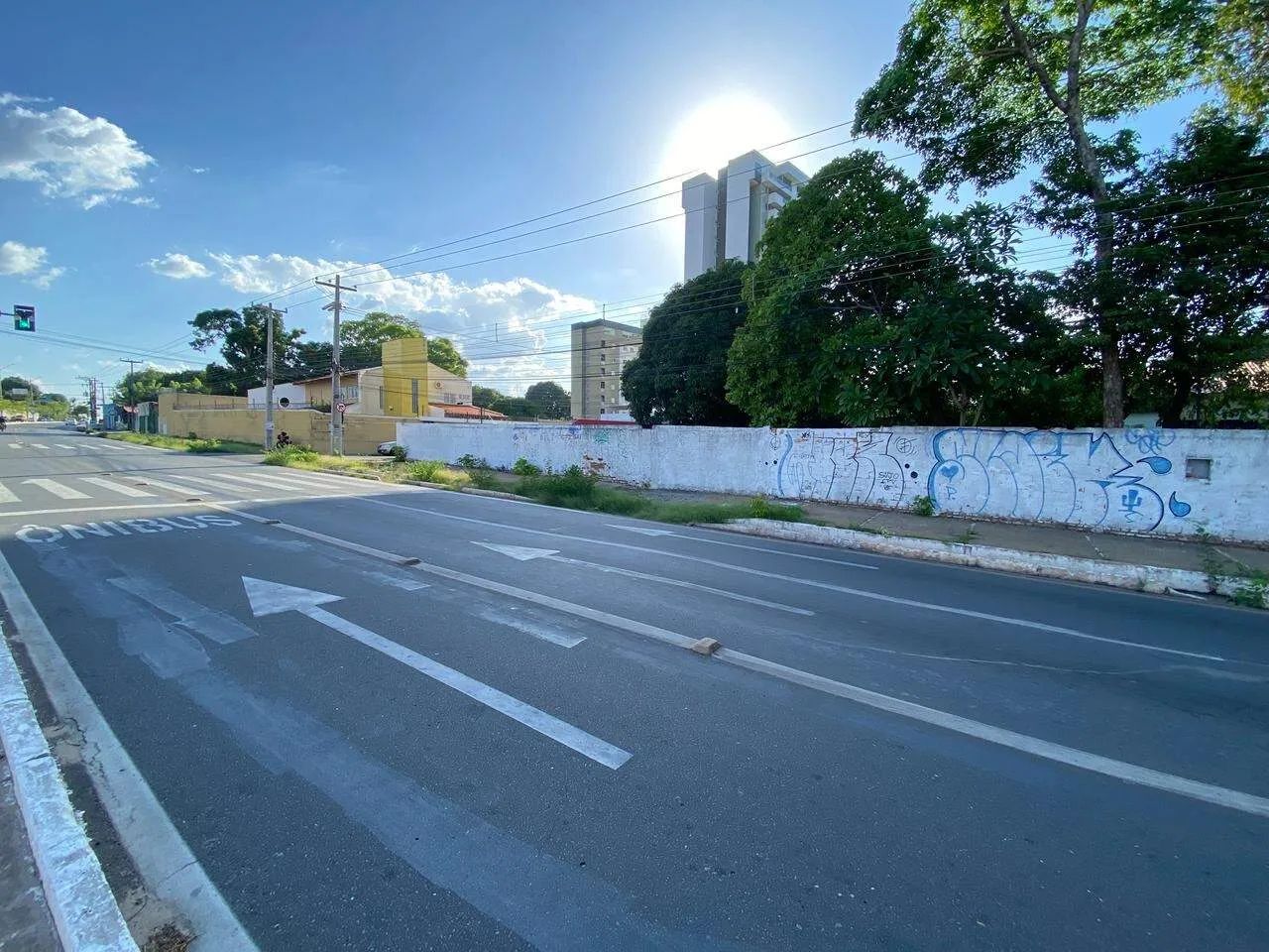 Terreno Para Aluguel - Foto 2