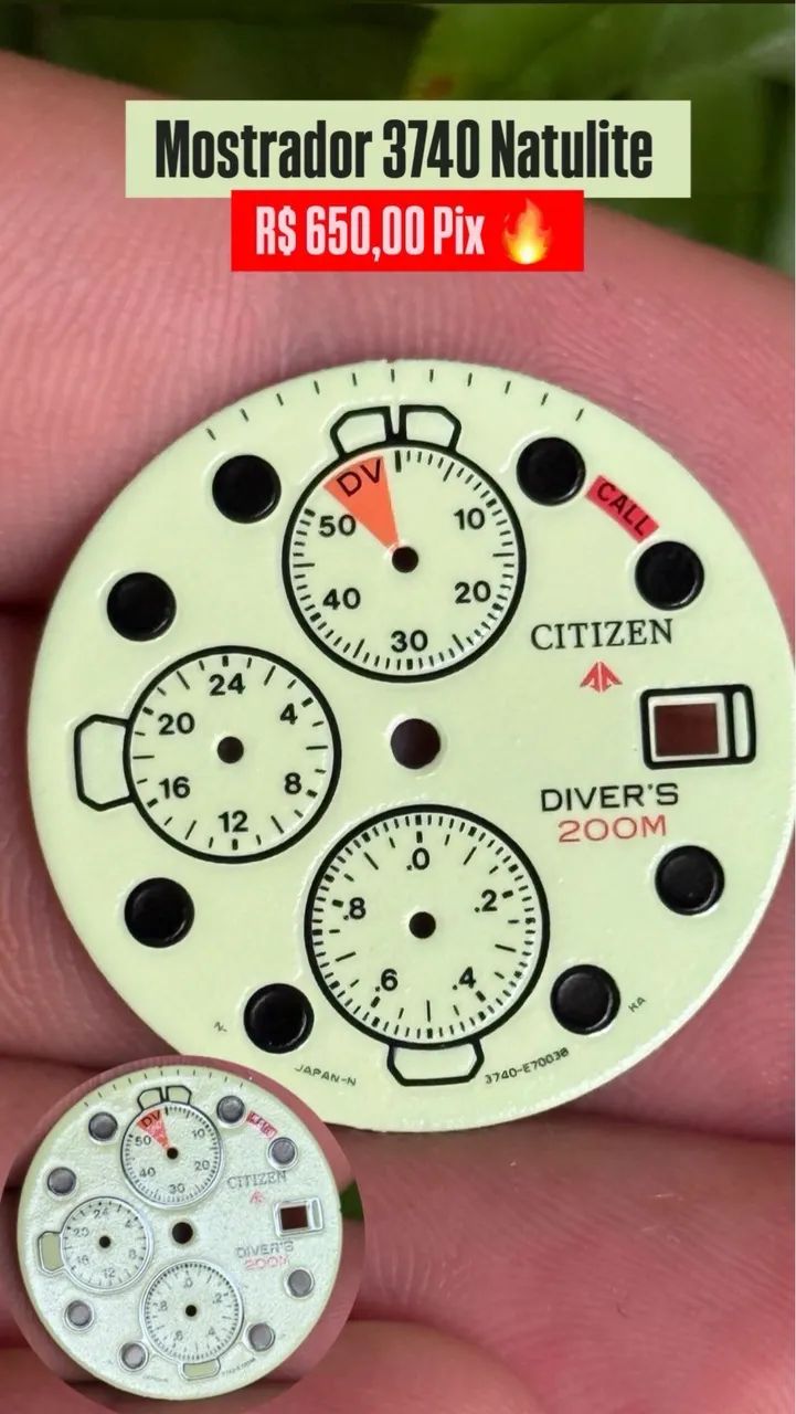 Mostrador Citizen Aqualand 3740 Natulite 