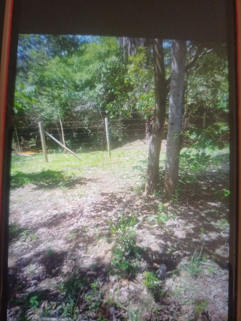 Lote em Beltrao - Foto 4
