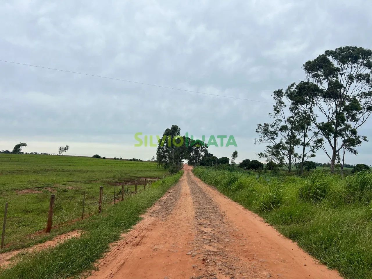 OPORTUNIDADE RURAL EM CRUZEIRO DO OESTE/PR - Foto 4