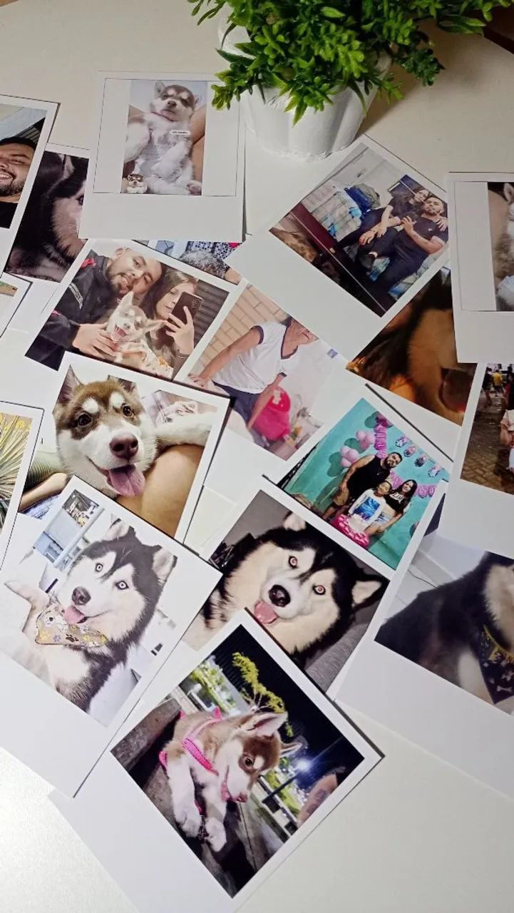 Polaroides Personalizadas. - Foto 3