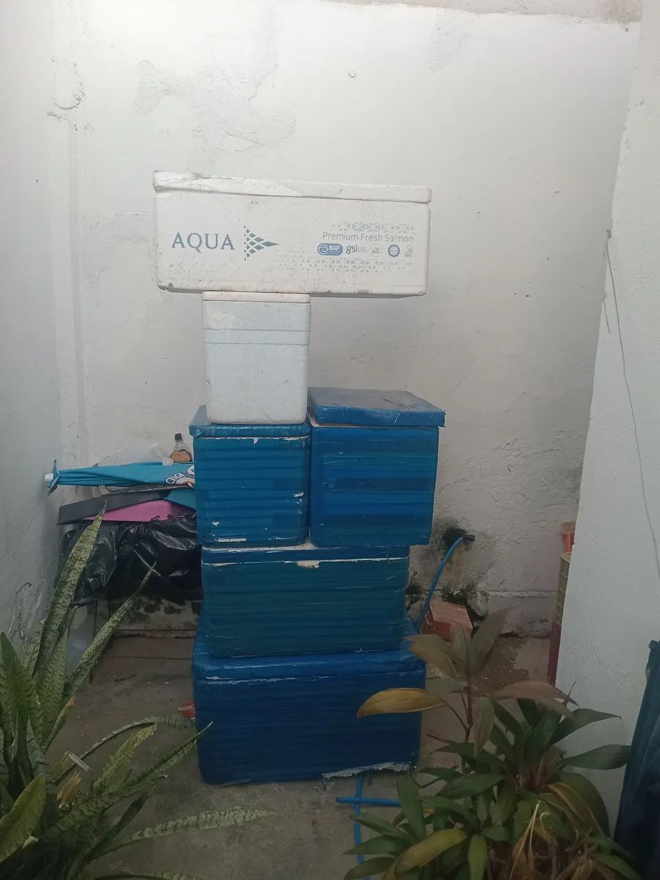 Caixa térmica isopor diversos 
