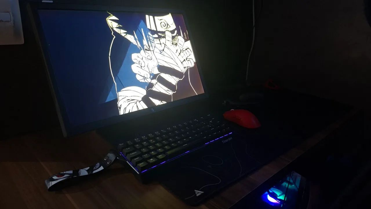 Monitor