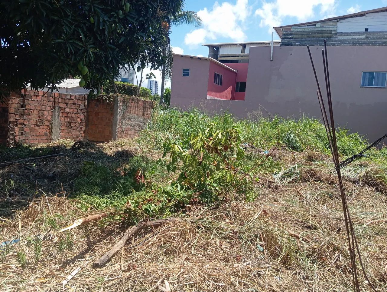 Terreno em campo grande  - Foto 4