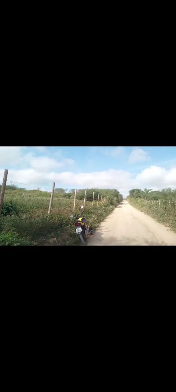 Foto - Campo Formoso - 