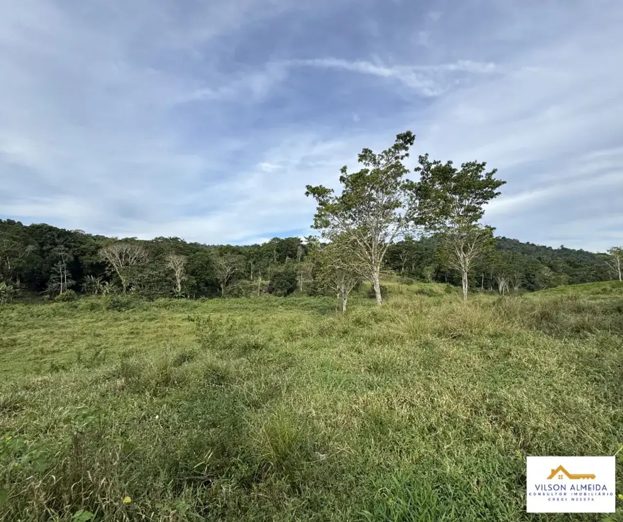 Áreas à venda, SERRA GRANDE, Uruçuca, BA - Foto 5