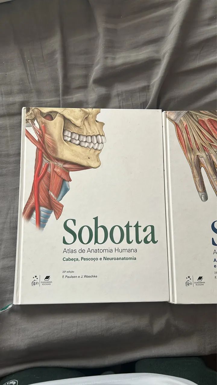 Sobotta - Foto 3