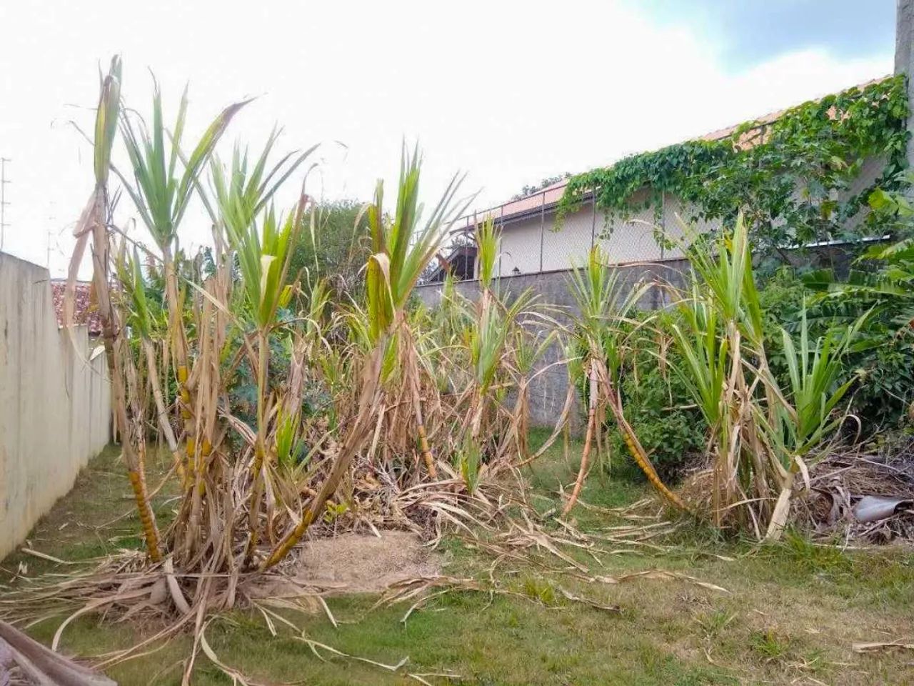 Terreno-À VENDA-Nova Itatiba-Itatiba-SP - Foto 2