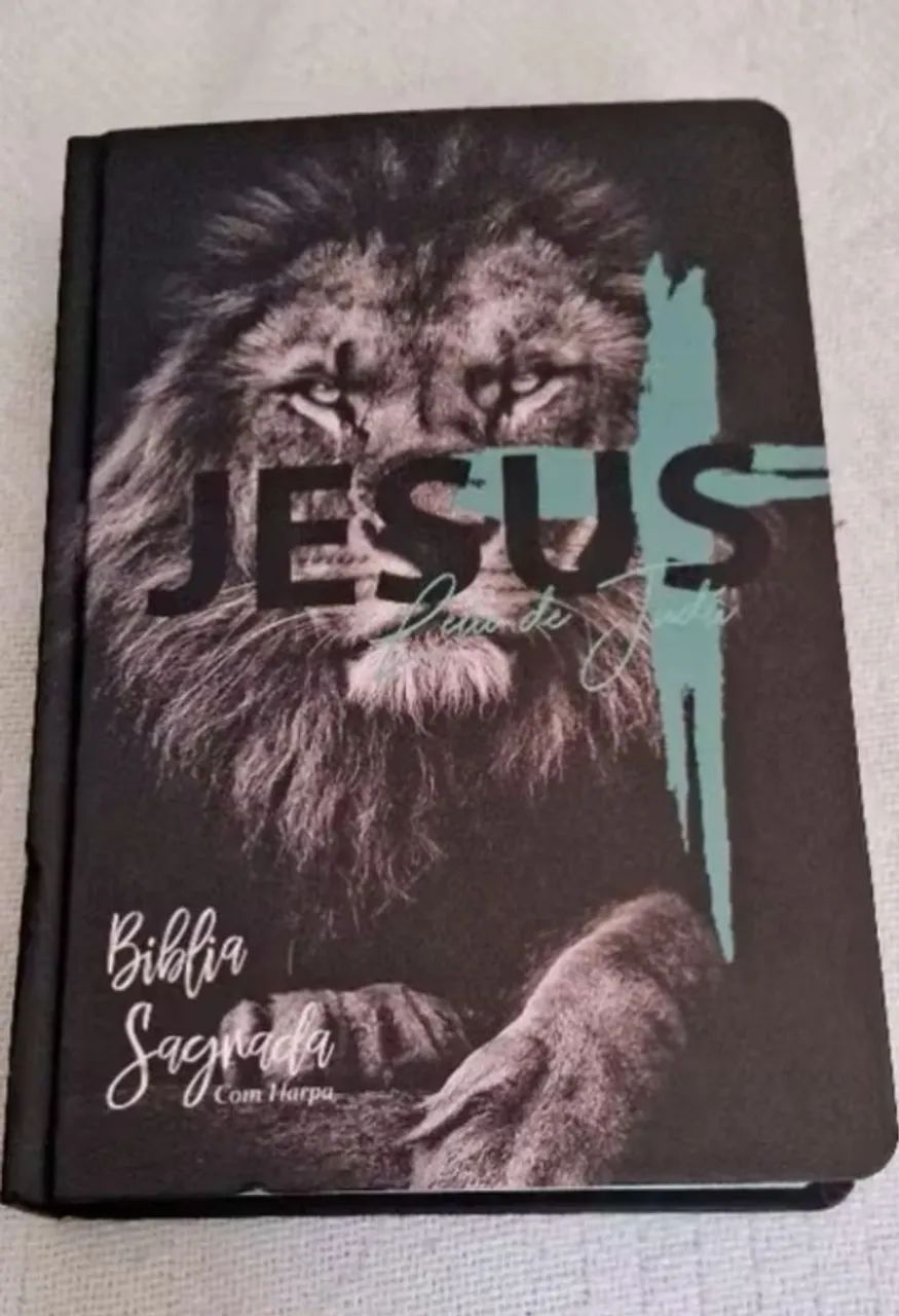 Biblia com Harpa com letra media