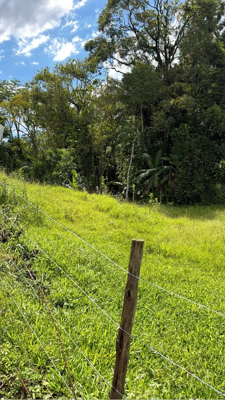 Foto - Santo Amaro da Imperatriz - 