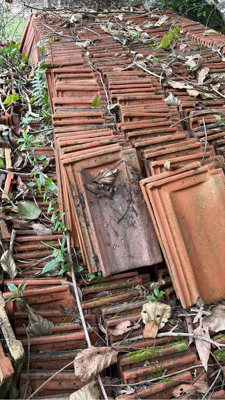 Vendo telhas germânicas  - Foto 3