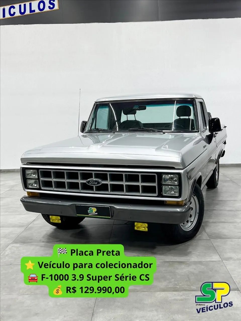 Ford F-1000 S. S. Diesel / S.s. Diesel Turbo 1987