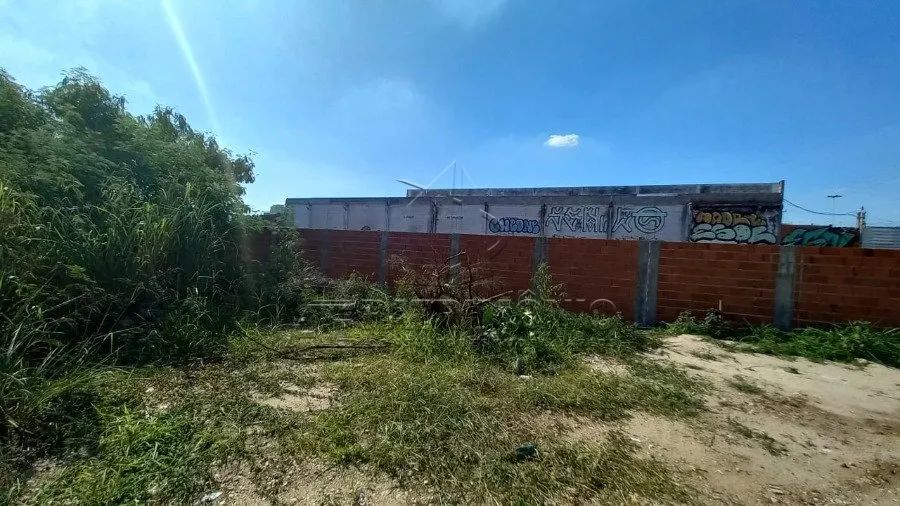 TERRENO NO ALÉM PONTE - Foto 4