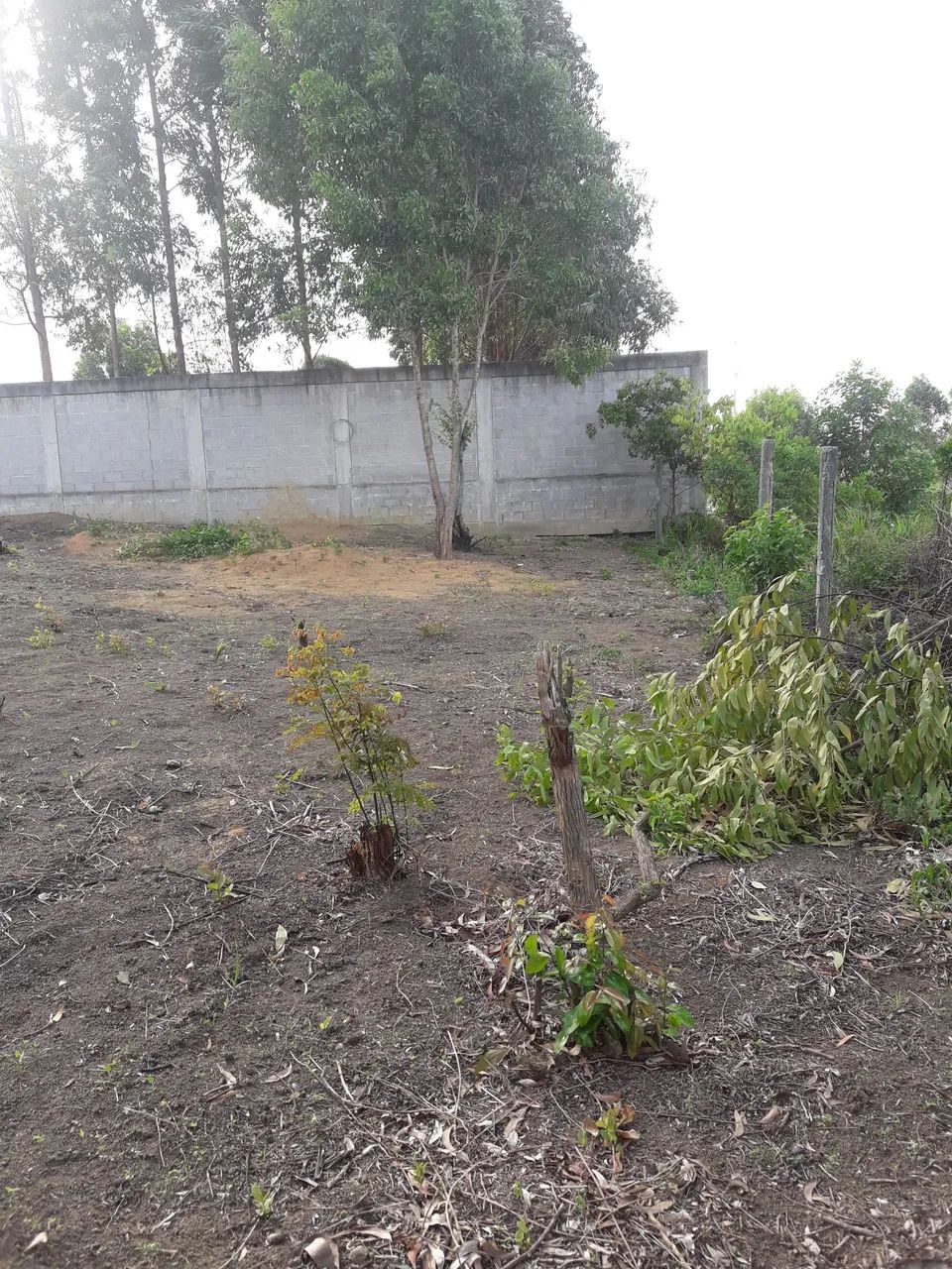 Quadra Lotes Jacaraípe 5.233m2 - Foto 4