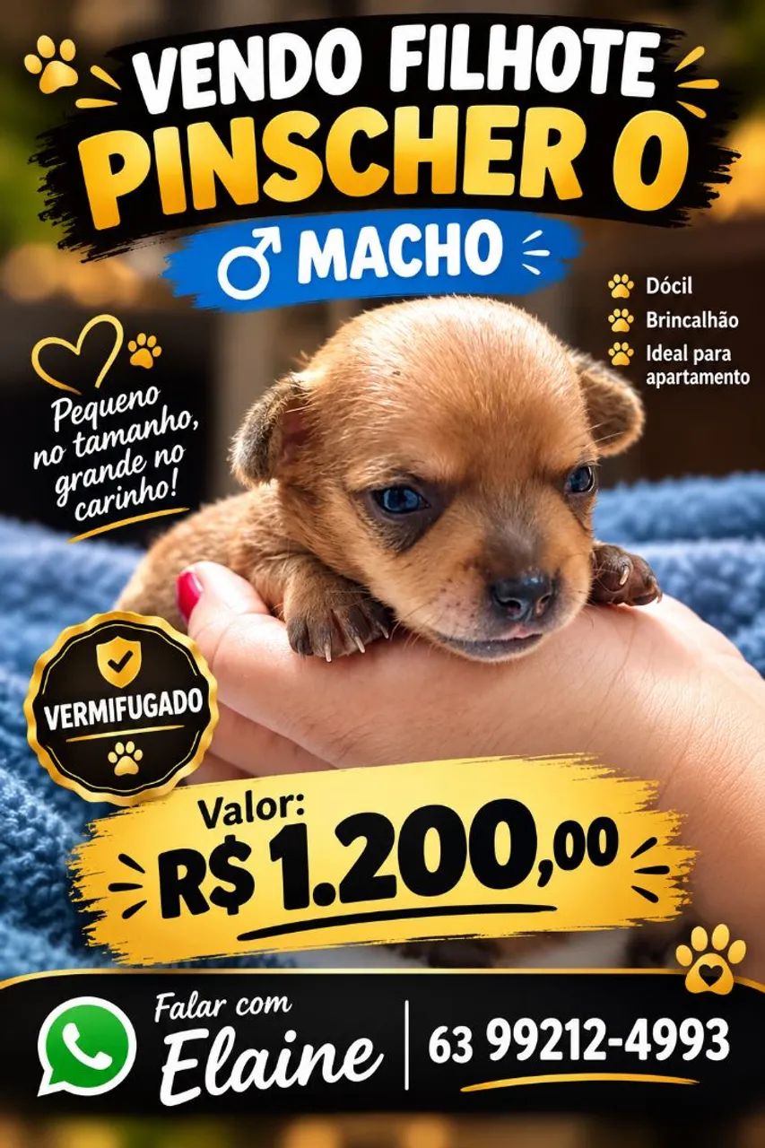 Vendo