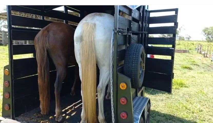 ? VENDO TRAILER PARA 2 CAVALOS ?