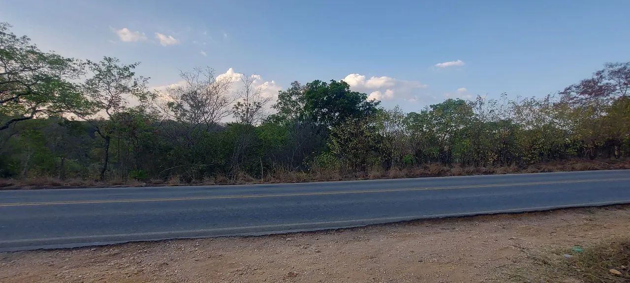 Terreno Comercial as margens da MG 010 - Foto 10