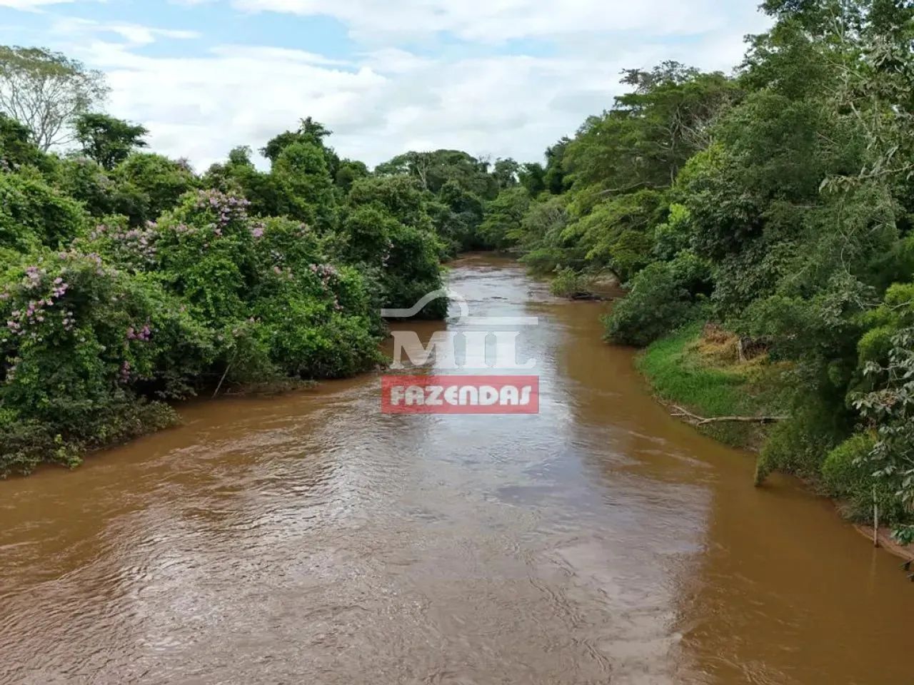 Chácara 3.000M² Itaberaí-GO. - Foto 5