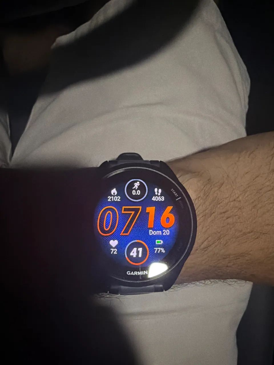 Garmin 165