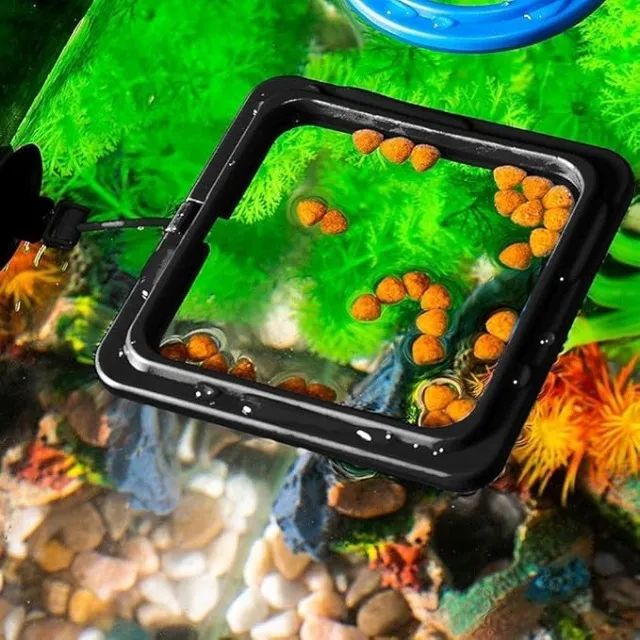 Quadro de alimentação flutuante para Aquario
