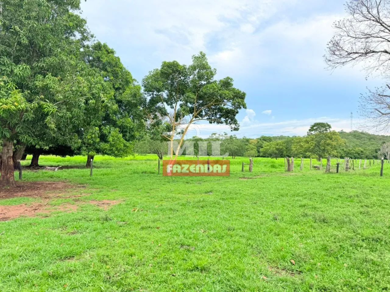 Fazenda 120Alqueires (581 Hectares) Dueré - TO - Foto 4
