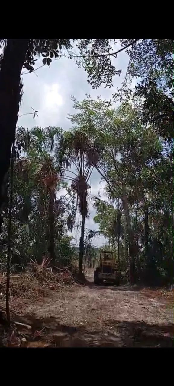 Vendas de Lotes com igarapé, para chácaras e sítio, Terreno na Av Princ em vila de Lindóia - Foto 3