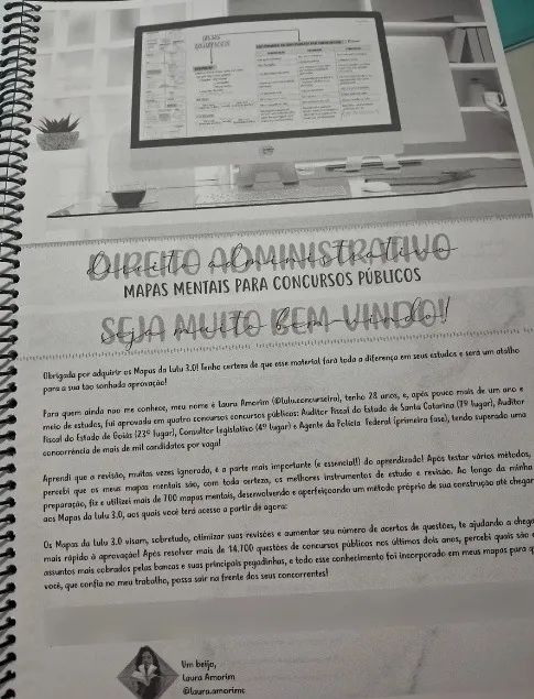 Mapas da Lulu - Direito Constitucional e Direito Administrativo - Foto 4
