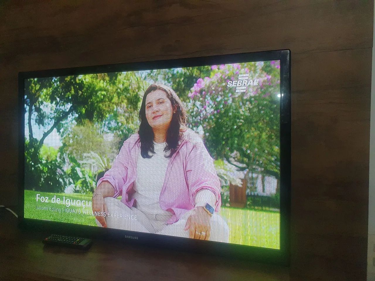 Tv samsung 43 polegadas 