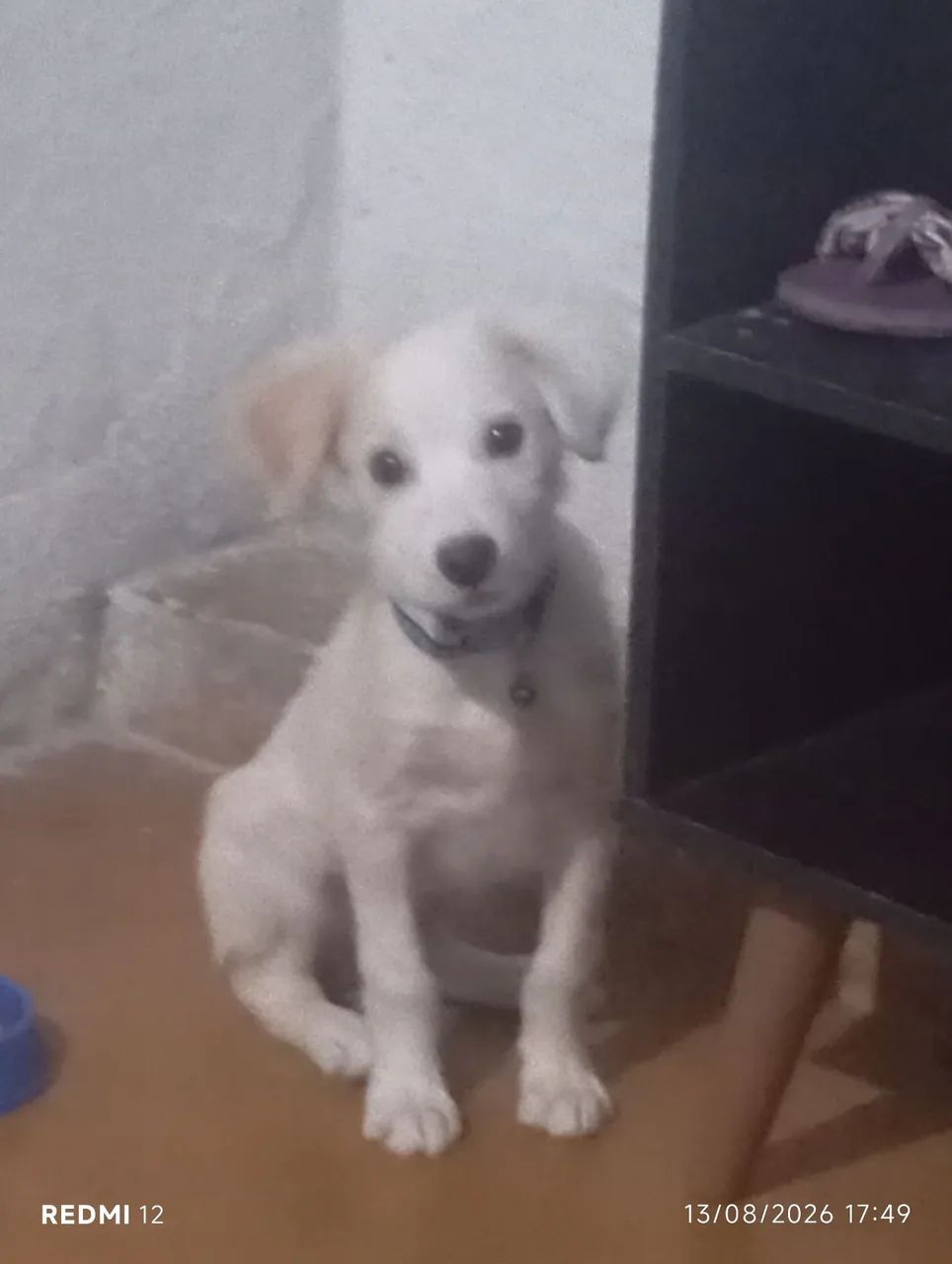Doação  - Foto 2