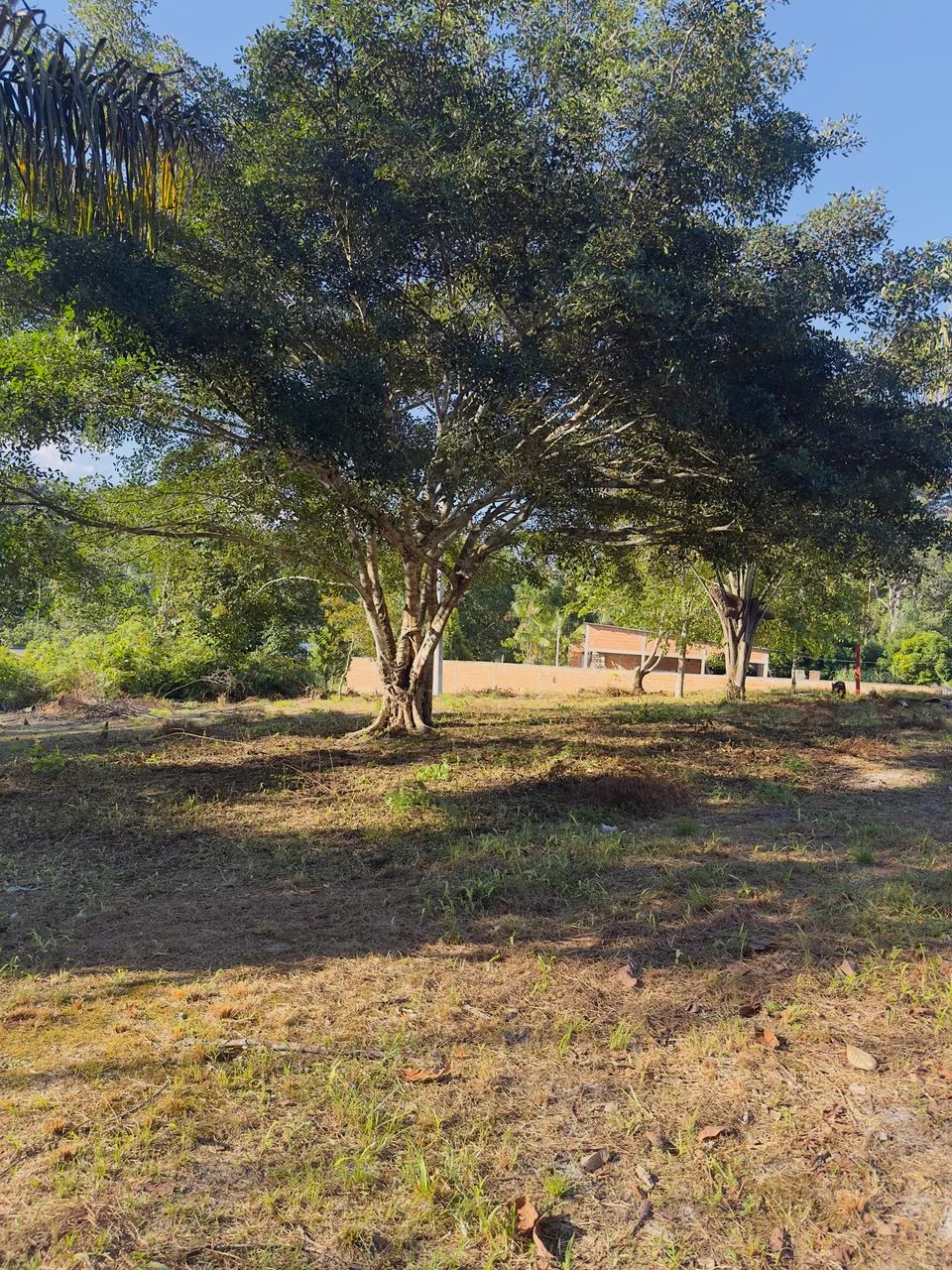 Disponível para negócio  - Foto 2