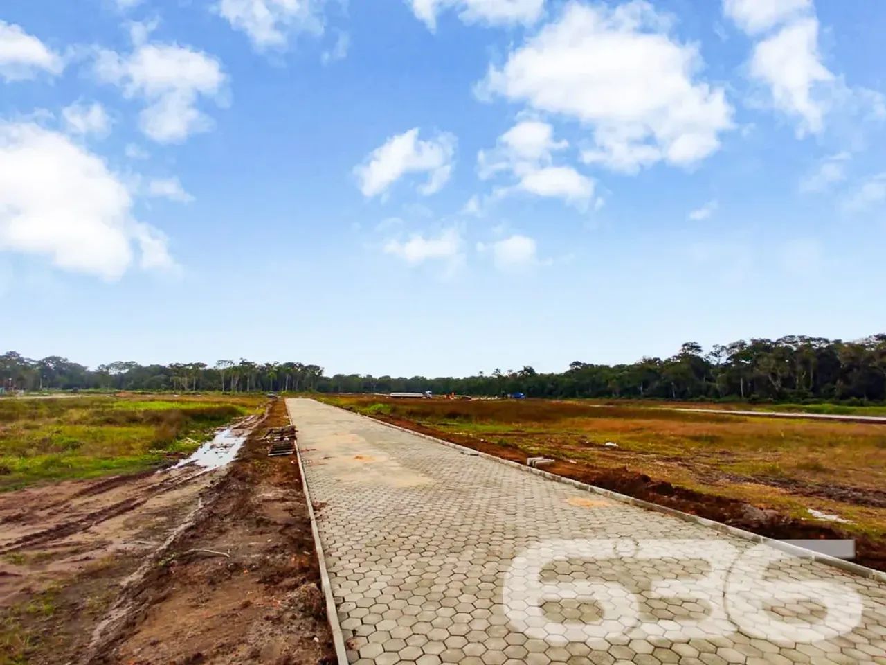 Terreno | São Francisco do Sul | Ervino - Foto 4