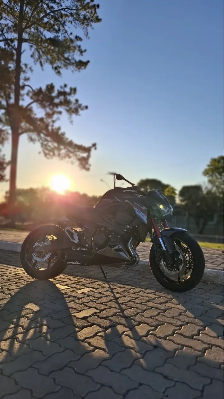 むぎお Kawasaki Z-800 2017 - 1500765711 | OLX