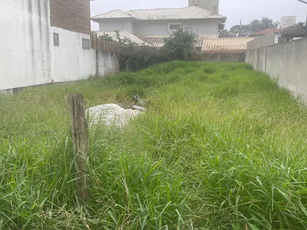 Terreno 225m2 - Rio Tavares - Foto 3