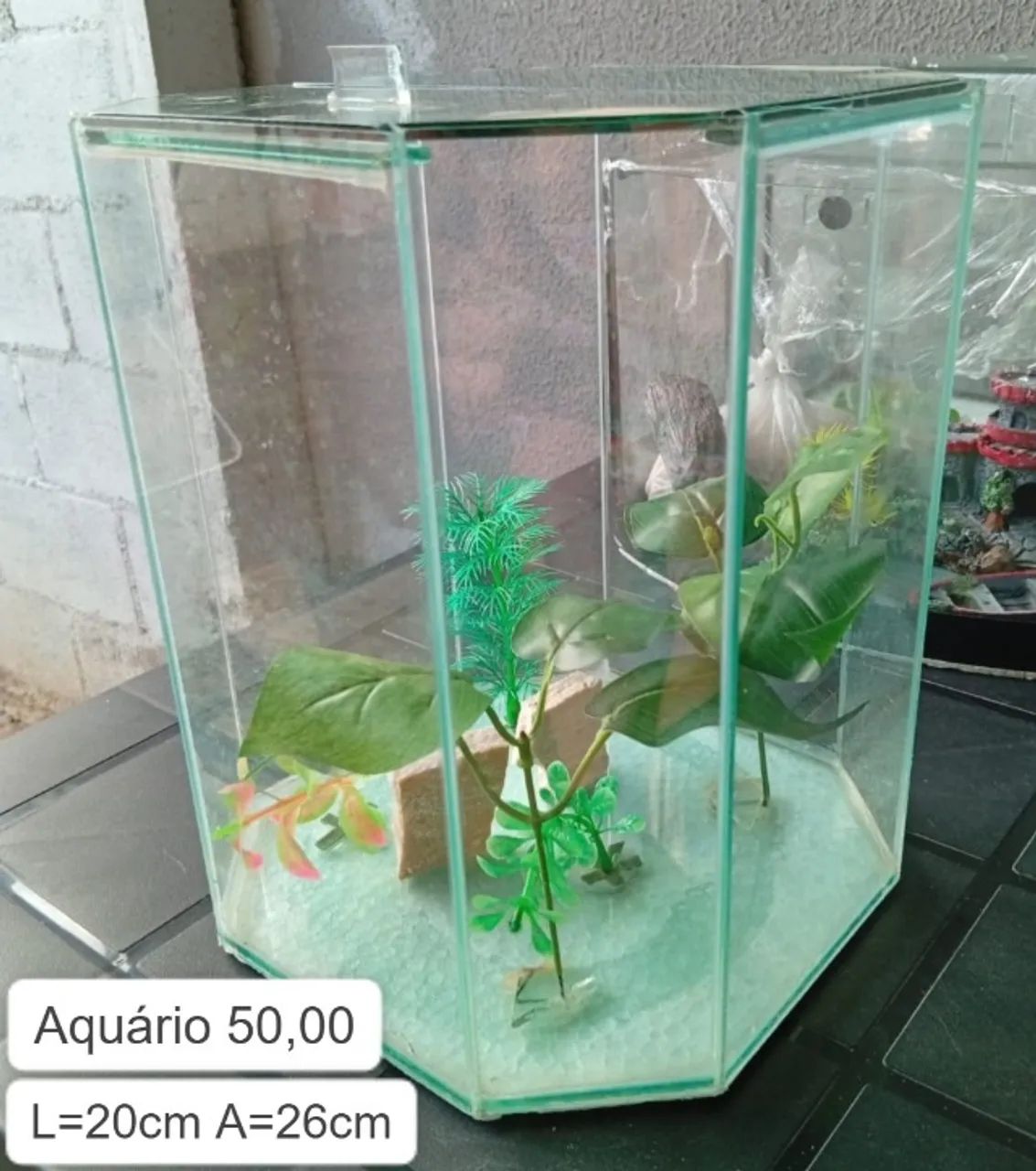 Áquario