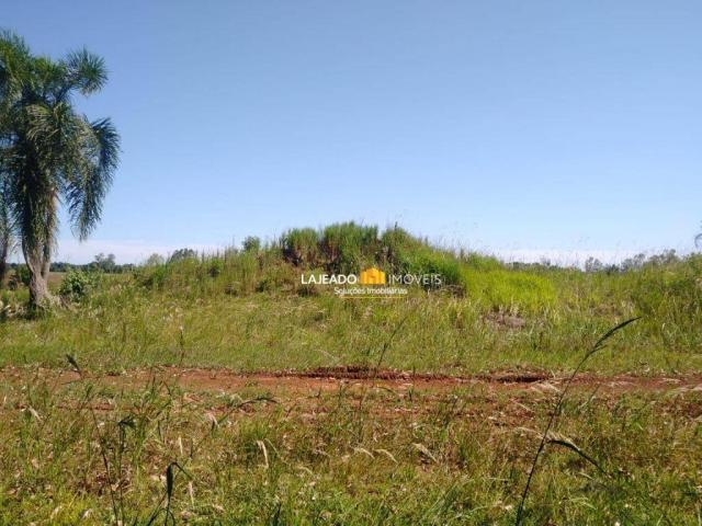 Sítio para alugar, 6500 m² por R$ 1.180,00/mês - Zona Rural - Colinas/RS - Foto 14