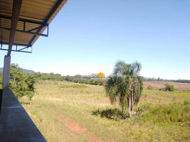 Sítio para alugar, 6500 m² por R$ 1.180,00/mês - Zona Rural - Colinas/RS - Foto 12