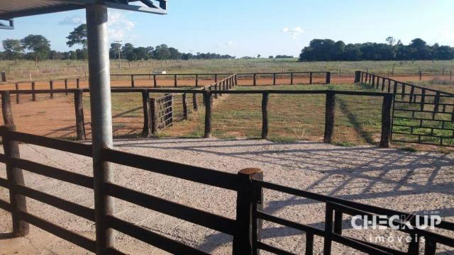 Fazenda à venda, 11.829 ha por R$ 500.000.000 - Zona Rural - Jussara/GO - Foto 20