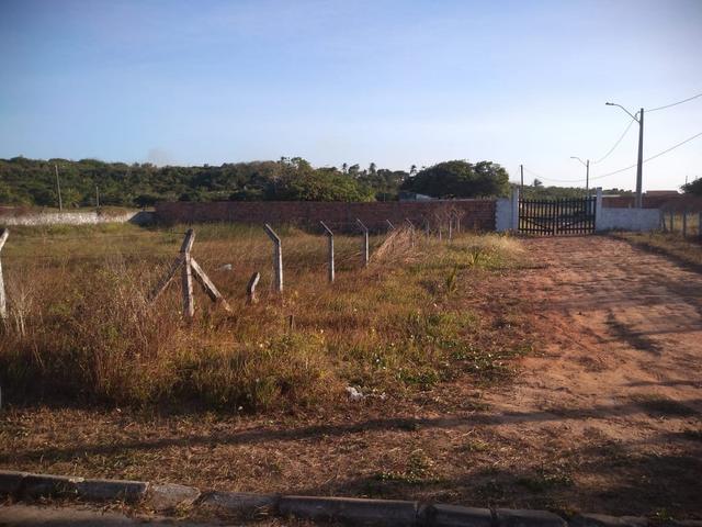 Vendo terreno no panaquatira Ribamar - Foto 5