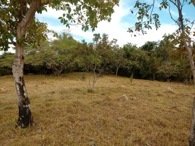 Chácara 30mts por 180 mts - Foto 13