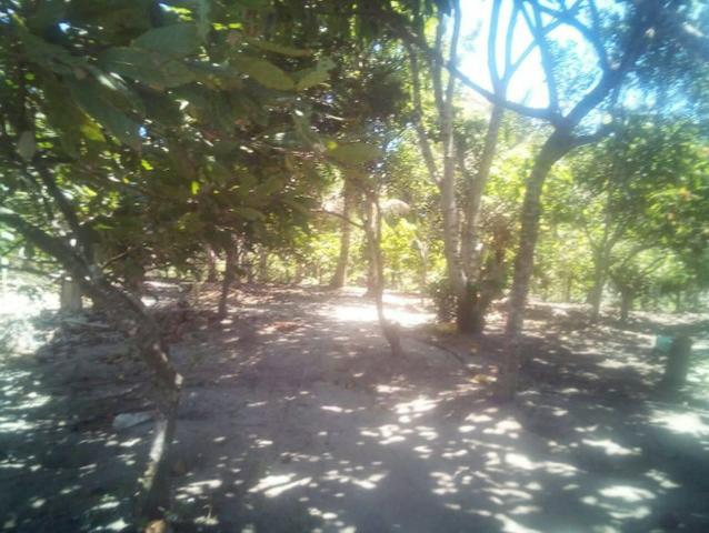 Sitio Ouro achado - Foto 2