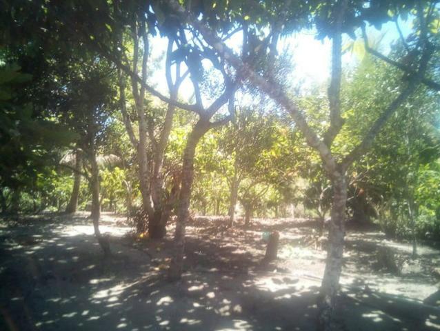 Sitio Ouro achado - Foto 6