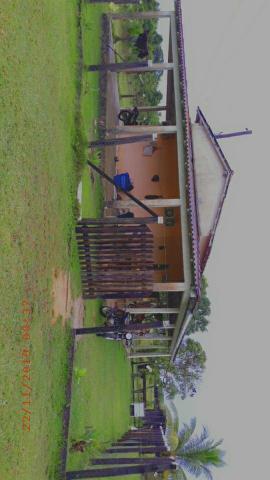 Fazenda - Foto 6