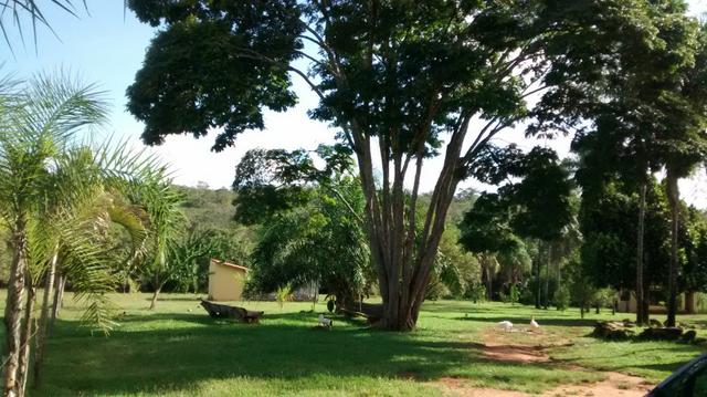 Fazenda de 4 alqueires para pecuária a venda na região de Caldas Novas GO - Foto 12