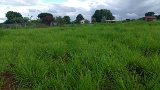 Vila rural em Valinhos , cidade Luiziana - Foto 6