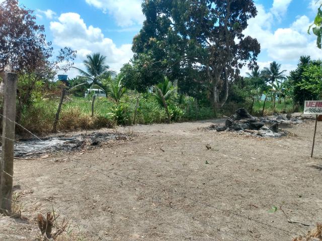 Vendo terreno 17.000 Mil - Foto 3