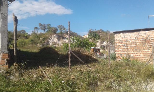Terreno - Foto 5