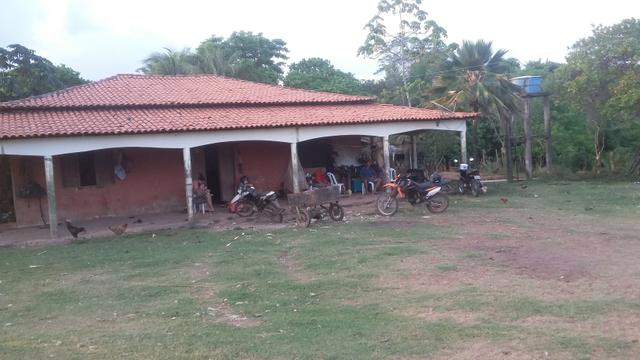 Fazenda do alagoano a venda - Foto 3