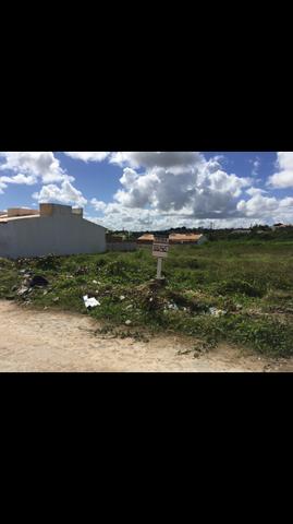 Vendo lote de 50X40m em rua pavimentada