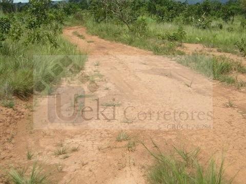 Fazenda no Mato Grosso 5.276 ha venda total - parcial ou permuta - Foto 10