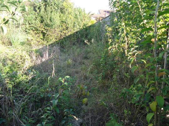 Terreno à venda em Chacara das pedras, Porto alegre cod:6389 - Foto 2